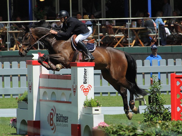 日职乙战报：热苏斯点射制胜，长崎成功丸2-1十人水户蜀葵