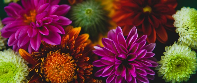 是否会拒签看世界杯的球迷？白宫官员：签证关乎国家安全