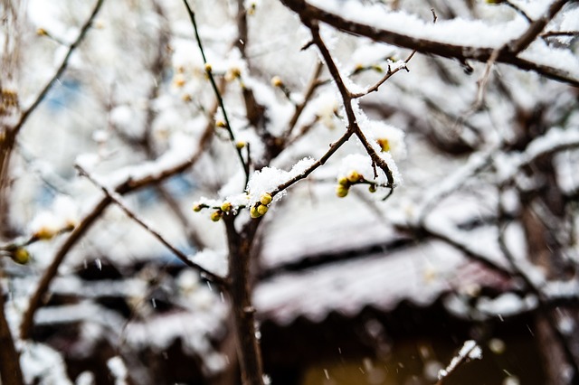 人让节奏