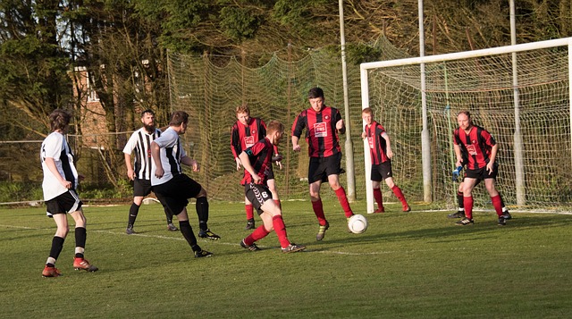 为与伤病的 为与伤病的