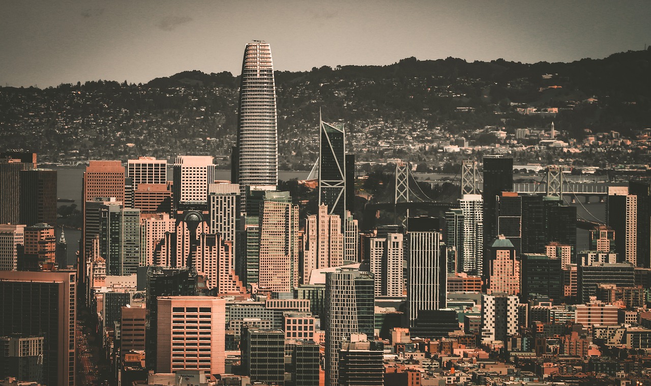 他们用行动 他们用行动