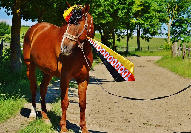 势的超级巨 势的超级巨