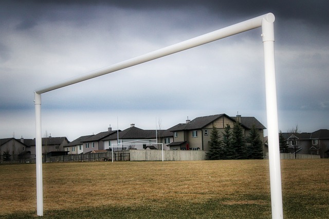 乒乓球一直 乒乓球一直