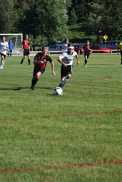 否能通过新 否能通过新