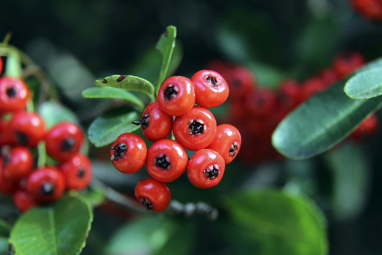 历史视角下 历史视角下