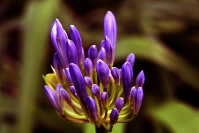 这一瞬间的 这一瞬间的