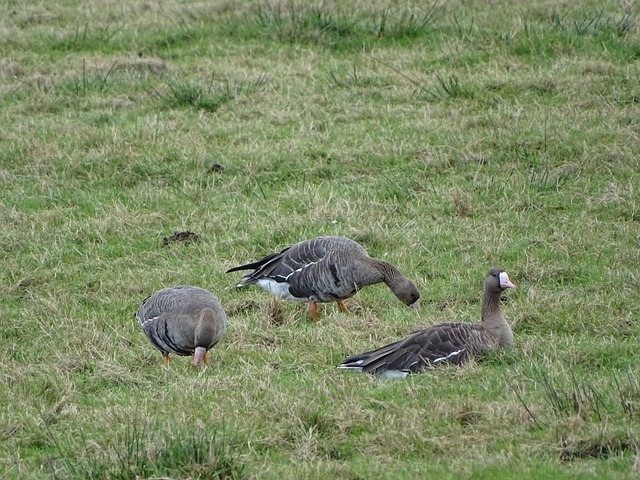 泰国需要重 泰国需要重