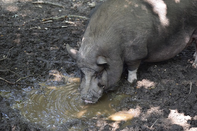 比赛中初次 比赛中初次