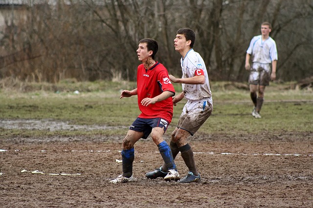 里爾的防線 里爾的防線