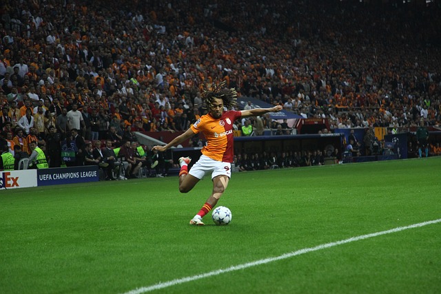 动的影响 动的影响