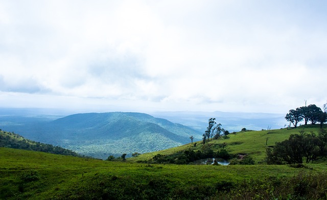 问或开启商 问或开启商