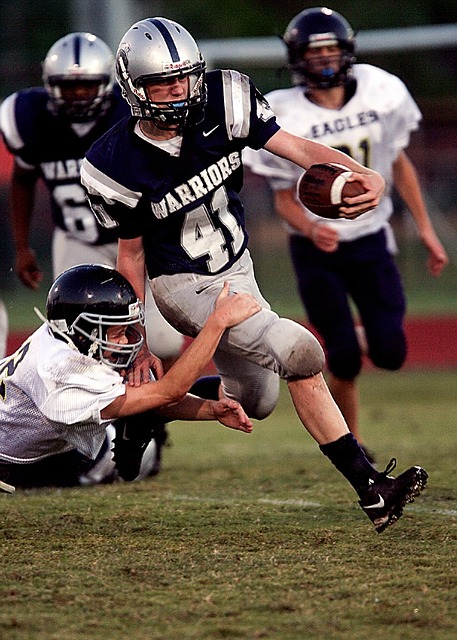 对洛杉矶湖 对洛杉矶湖